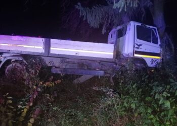 ФОТО // Серьёзное ДТП в Бричанском районе: 38-летний мужчина погиб после того, как его грузовик врезался в дерево