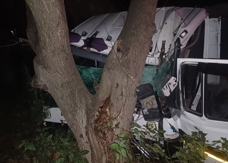 FOTO // Grav accident în raionul Briceni. Un bărbat de 38 de ani a decedat, după ce s-a tamponat cu camionul într-un copac