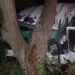 FOTO // Grav accident în raionul Briceni. Un bărbat de 38 de ani a decedat, după ce s-a tamponat cu camionul într-un copac