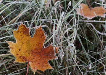 Atenție! Se anunță Cod Galben de îngheț