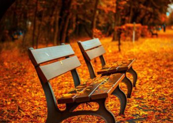 METEO // Maxime de până la 20 de grade astăzi în Moldova