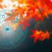 HOROSCOP // Vezi ce ți-au pregătit astrele în noua lună de toamnă