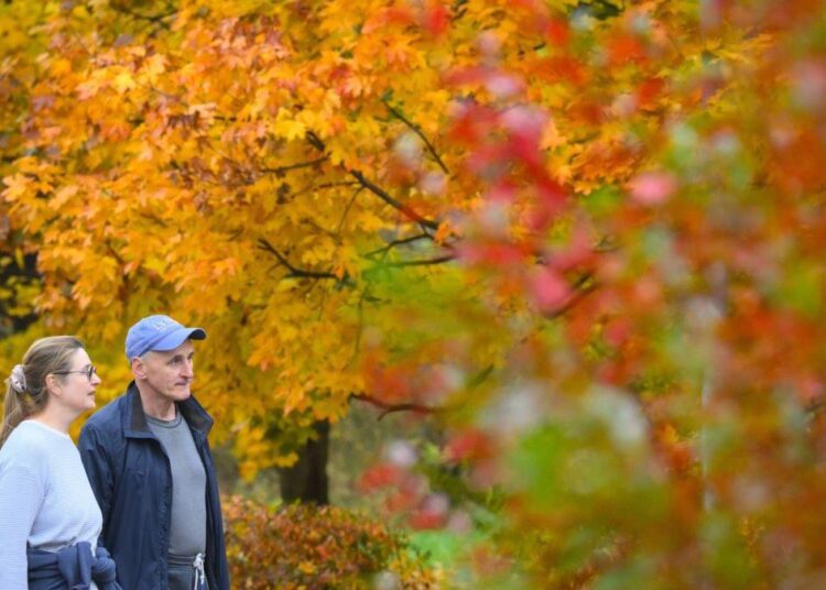 METEO // Zi perfectă pentru plimbări. Vremea se încălzește