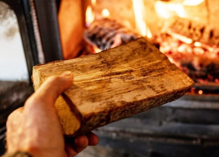 Guvernul promite compensații și în această iarnă, iar prețul lemnelor rămâne neschimbat