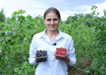 VIDEO // O profesoară de educație fizică din Fălești și-a transformat grădina într-o afacere