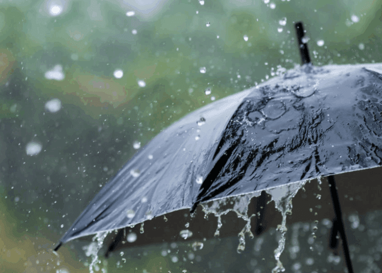 METEO // Cod Galben de ploi în șase raioane din nordul țării. Vezi câte grade vor fi astăzi