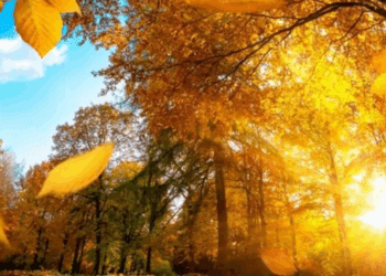 METEO // După două săptămâni de ploi vine soarele, iar vremea se încălzește