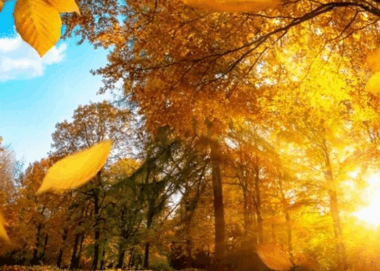 METEO // După două săptămâni de ploi vine soarele, iar vremea se încălzește