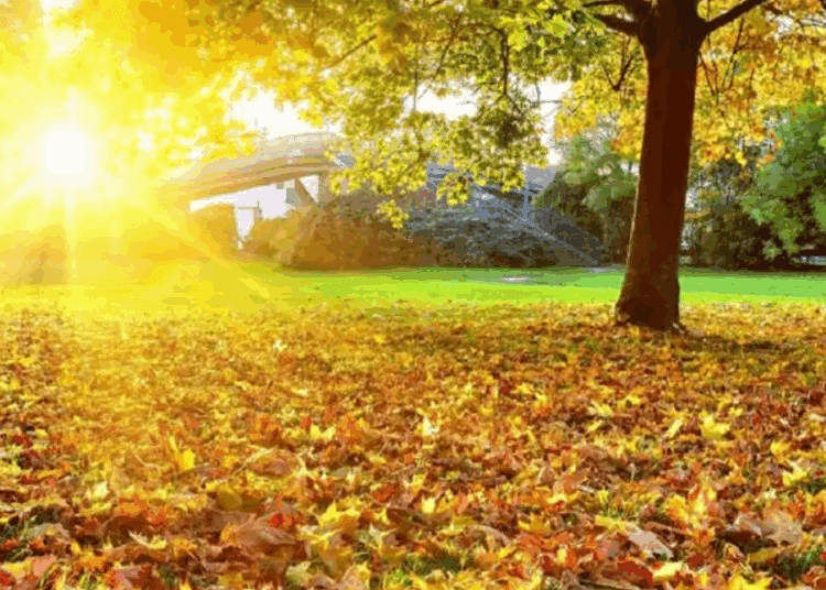 METEO // Săptămână cu cer variabil. Câte grade vor fi astăzi