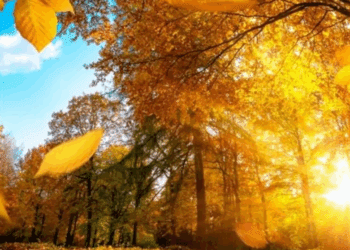 METEO // Cer variabil și temperaturi favorabile de toamnă. Câte grade vor fi astăzi