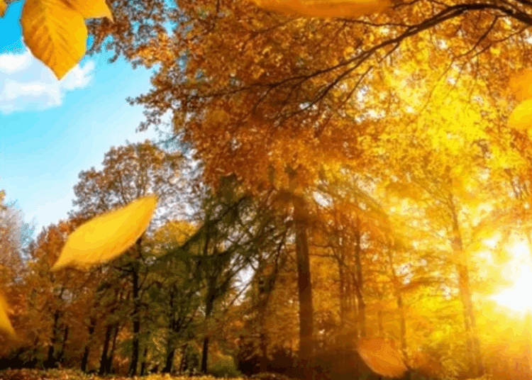 METEO // Cer variabil și temperaturi favorabile de toamnă. Câte grade vor fi astăzi