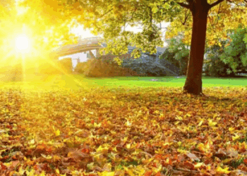 METEO // Temperaturi frumoase în ultima zi de octombrie. Câte grade vor fi astăzi