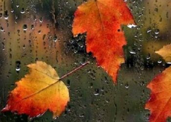 METEO // Zi posomorâtă. În unele regiuni se așteaptă ploi