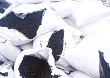 FOTO // Ceai cu pesticide, la un pas să ajungă pe rafturile de comerț din Republica Moldova