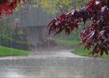 METEO // Zi posomorâtă. Sunt așteptate ploi pe întreg teritoriul țării