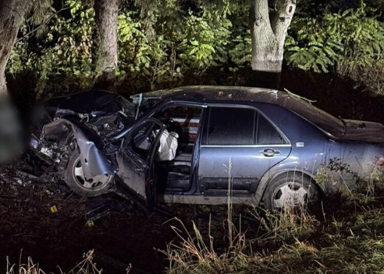 FOTO // Grav accident în raionul Briceni. Un bărbat de 47 de ani a ajuns la spital, după ce s-a tamponat cu mașina într-un copac