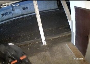 VIDEO // Furt de proporții la un schimb valutar din orașul Florești. Persoanele de la pază care au intervenit, nu au reușit să prindă făptașii