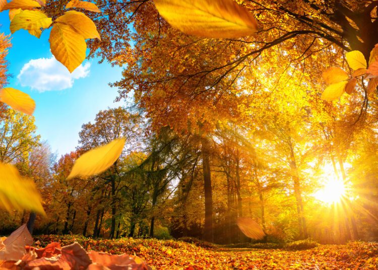 METEO // Zi cu soare și temperaturi generoase. Câte grade vor fi astăzi