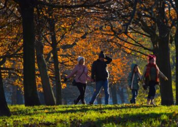 METEO // Noiembrie vine cu temperaturi generoase. Câte grade vor fi astăzi