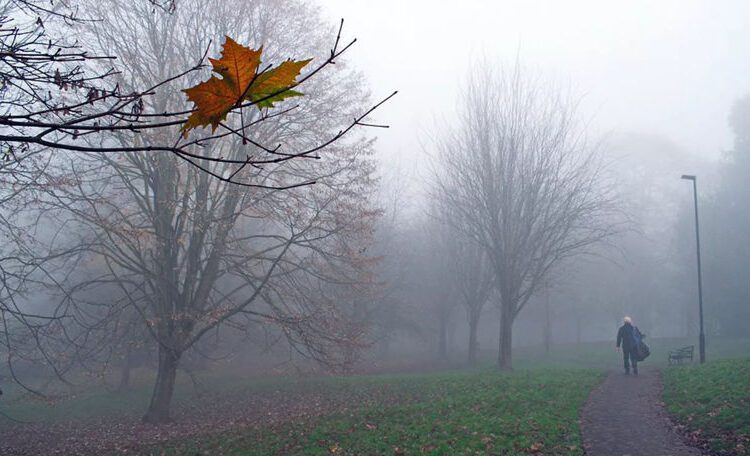 METEO // Cod Galben de ceață și ploi slabe în mai multe localități din țară. Câte grade vor fi astăzi