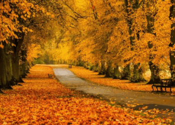 METEO // Temperaturi de toamnă. Vezi câte grade vor fi astăzi