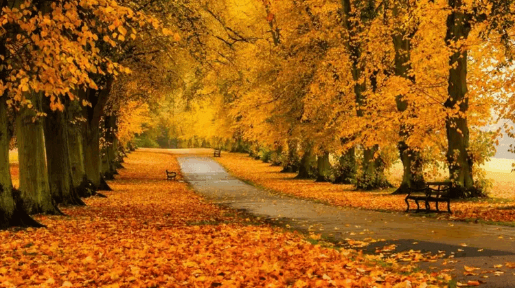 METEO // Temperaturi de toamnă. Vezi câte grade vor fi astăzi