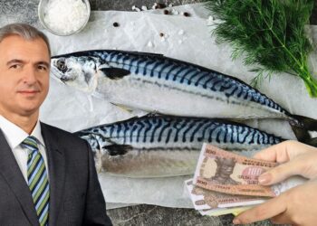 Macroul s-a scumpit brusc în R. Moldova. Explicațiile ministrului Dezvoltării Economice și Digitalizării