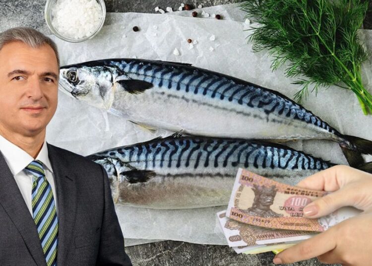 Macroul s-a scumpit brusc în R. Moldova. Explicațiile ministrului Dezvoltării Economice și Digitalizării