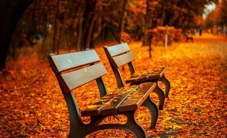 METEO // Zi cu temperaturi generoase. Câte grade vor fi astăzi