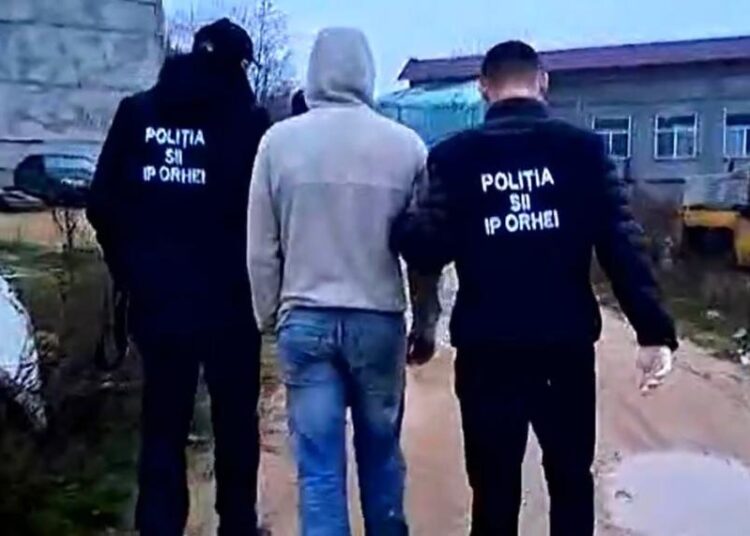 VIDEO // Un tânăr din raionul Fălești, reținut pentru cultivarea și distribuirea drogurilor