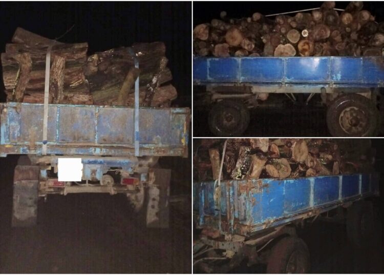 FOTO // Transport ilegal de lemne, descoperit în nordul țării. A fost sesizată Inspecția pentru Protecția Mediului