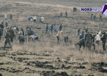 VIDEO // Sute de voluntari au plantat o pădure în nordul țării