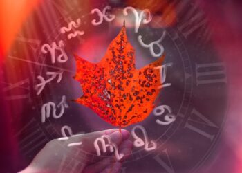 HOROSCOP // Vezi ce au pregătit astrele pentru fiecare zodie în parte