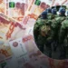 Nevoit să găsească bani pentru război, Putin a mărit taxele pentru ruși. Legea votată de Parlamentul de la Moscova