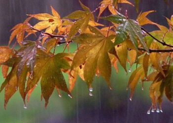 METEO // Ploi slabe în mai multe localități din țară. Vezi câte grade vor fi astăzi