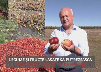 VIDEO // Detectorul de minciuni: Legume și fructe lăsate să putrezească sau o nouă „recoltă” de falsuri