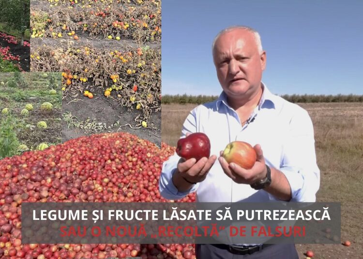 VIDEO // Detectorul de minciuni: Legume și fructe lăsate să putrezească sau o nouă „recoltă” de falsuri