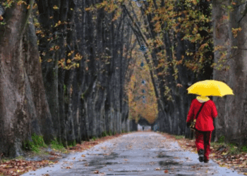 METEO // Cer noros în nordul țării. La centru și sud se așteaptă ploi slabe