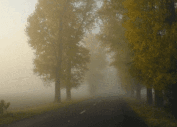 METEO // Cer noros, dar fără precipitații astăzi. De dimineață pe unele tresee persistă ceață