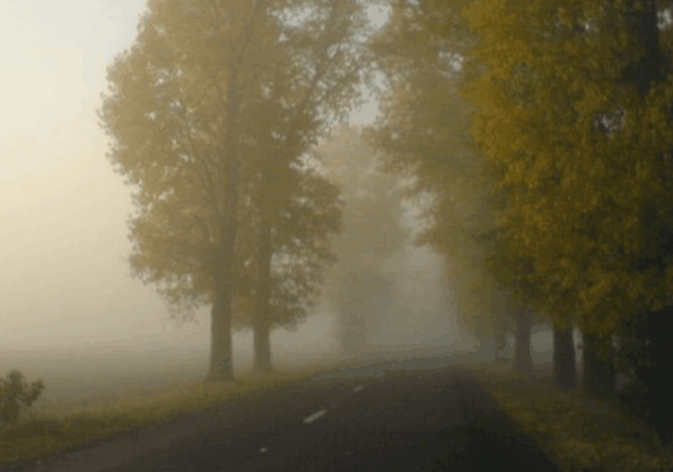 METEO // Cer noros, dar fără precipitații astăzi. De dimineață pe unele tresee persistă ceață