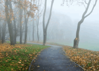 METEO // Cer noros și ceață. Vezi câte grade vor fi astăzi