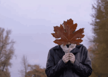 METEO // Temperaturi de toamnă și cer noros