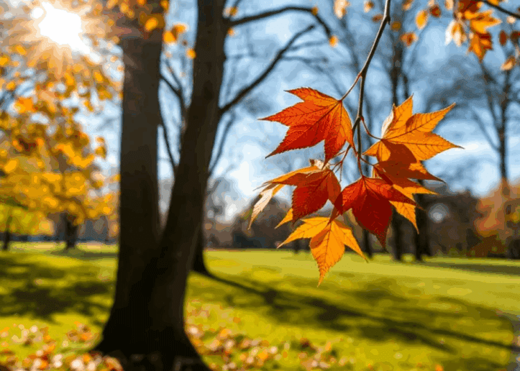 METEO // Cer variabil și temperaturi generoase. Câte grade vor fi astăzi