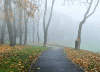 METEO // Cod Galben de Ceață și ploi slabe. Vezi câte grade vor fi astăzi