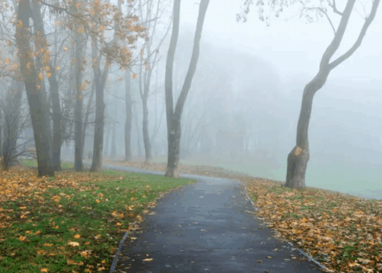 METEO // Cod Galben de Ceață și ploi slabe. Vezi câte grade vor fi astăzi
