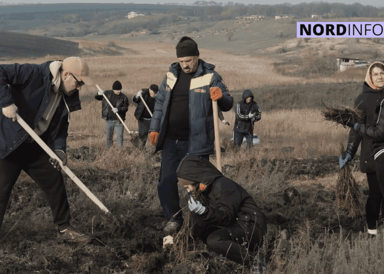 Generația Pădurii: Cum Republica Moldova își propune în 10 ani să ajungă de la promisiuni la rezultate măsurabile