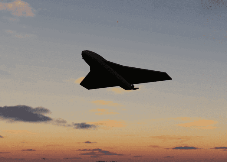 Dronele care au survolat spațiul aerian din nordul țării erau de tip Gerbera