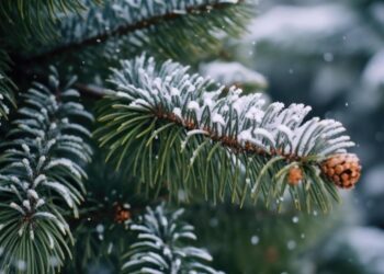 METEO // Ninsoare slabă și lapoviță în mai multe localități din țară. Câte grade vor fi astăzi