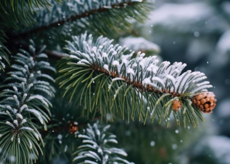 METEO // Ninsoare slabă și lapoviță în mai multe localități din țară. Câte grade vor fi astăzi