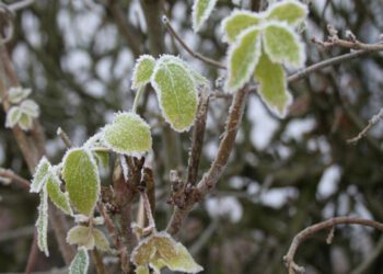 METEO // Se așteaptă ninsori slabe în nordul și centrul țării. Câte grade vor fi astăzi